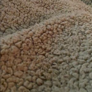 Meet your Posher, Hailey